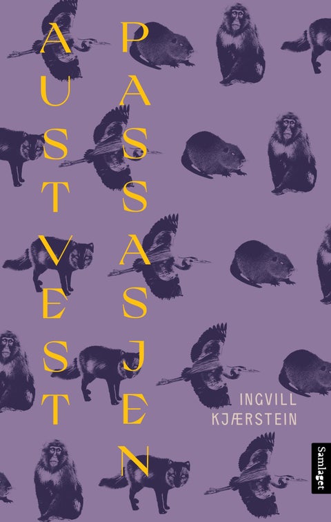 Austvestpassasjen - roman