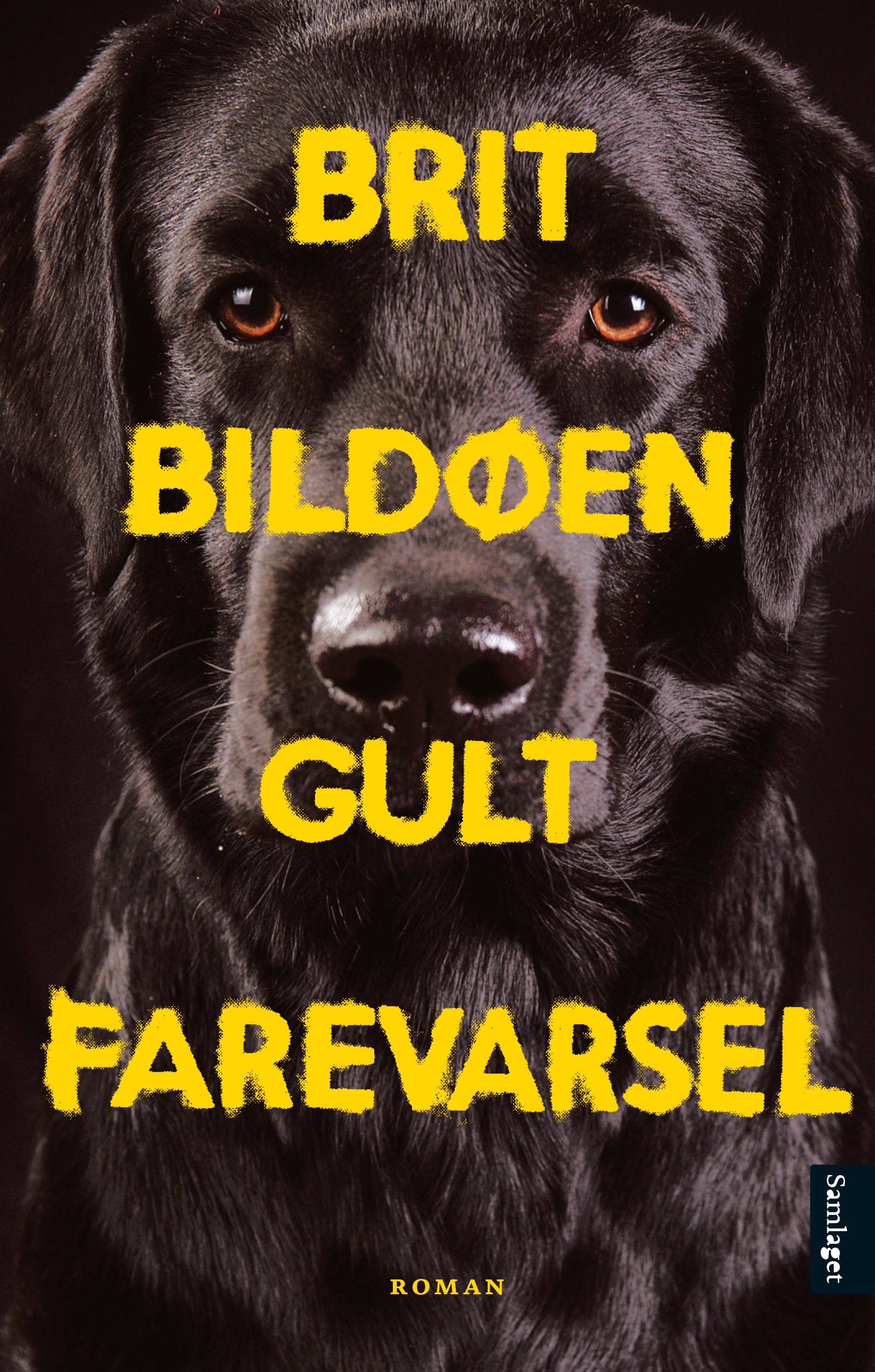 Gult farevarsel - roman