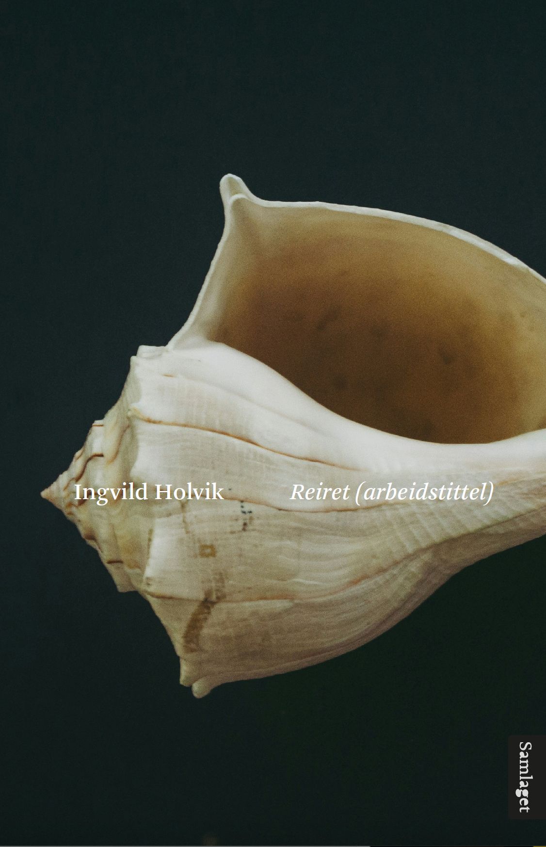 Reiret (arbeidstittel) - roman