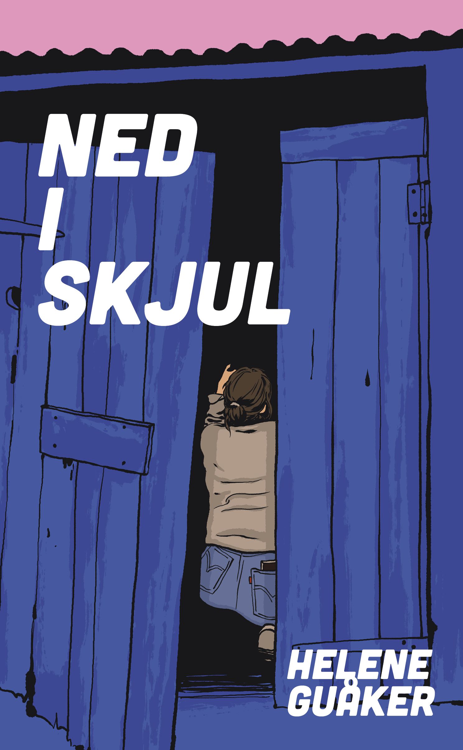 Ned i skjul - roman
