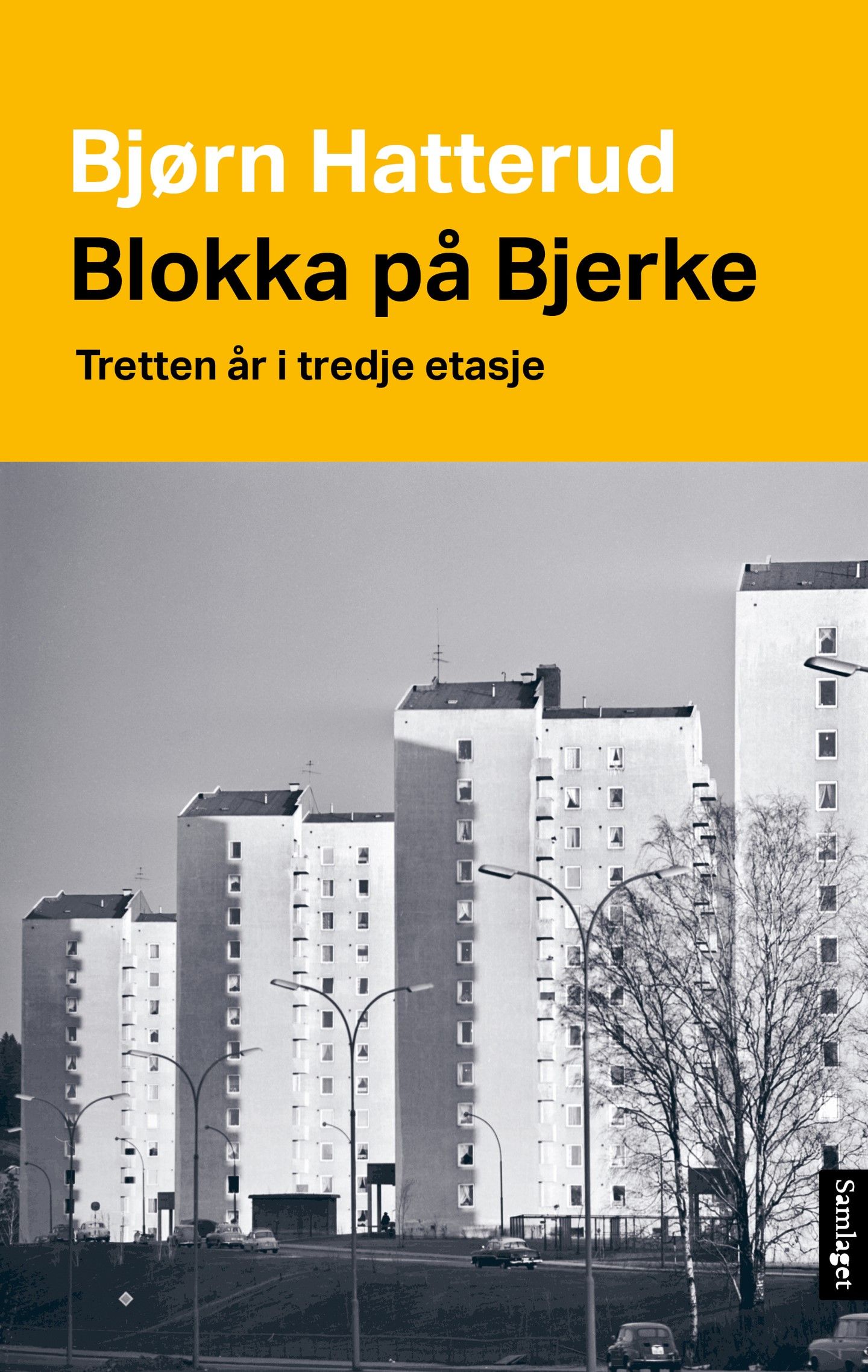 Blokka på Bjerke - tretten år i tredje etasje