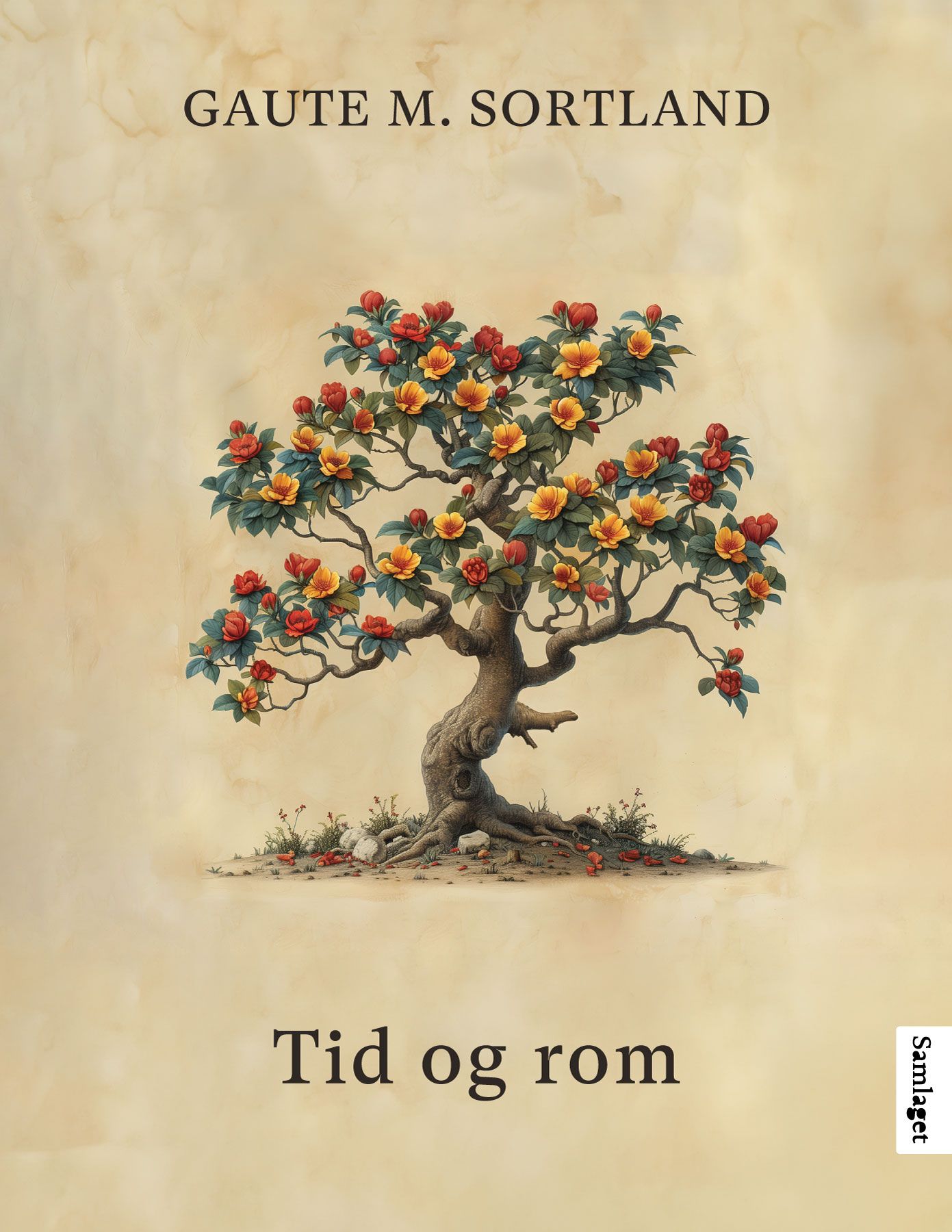 Tid og rom - roman