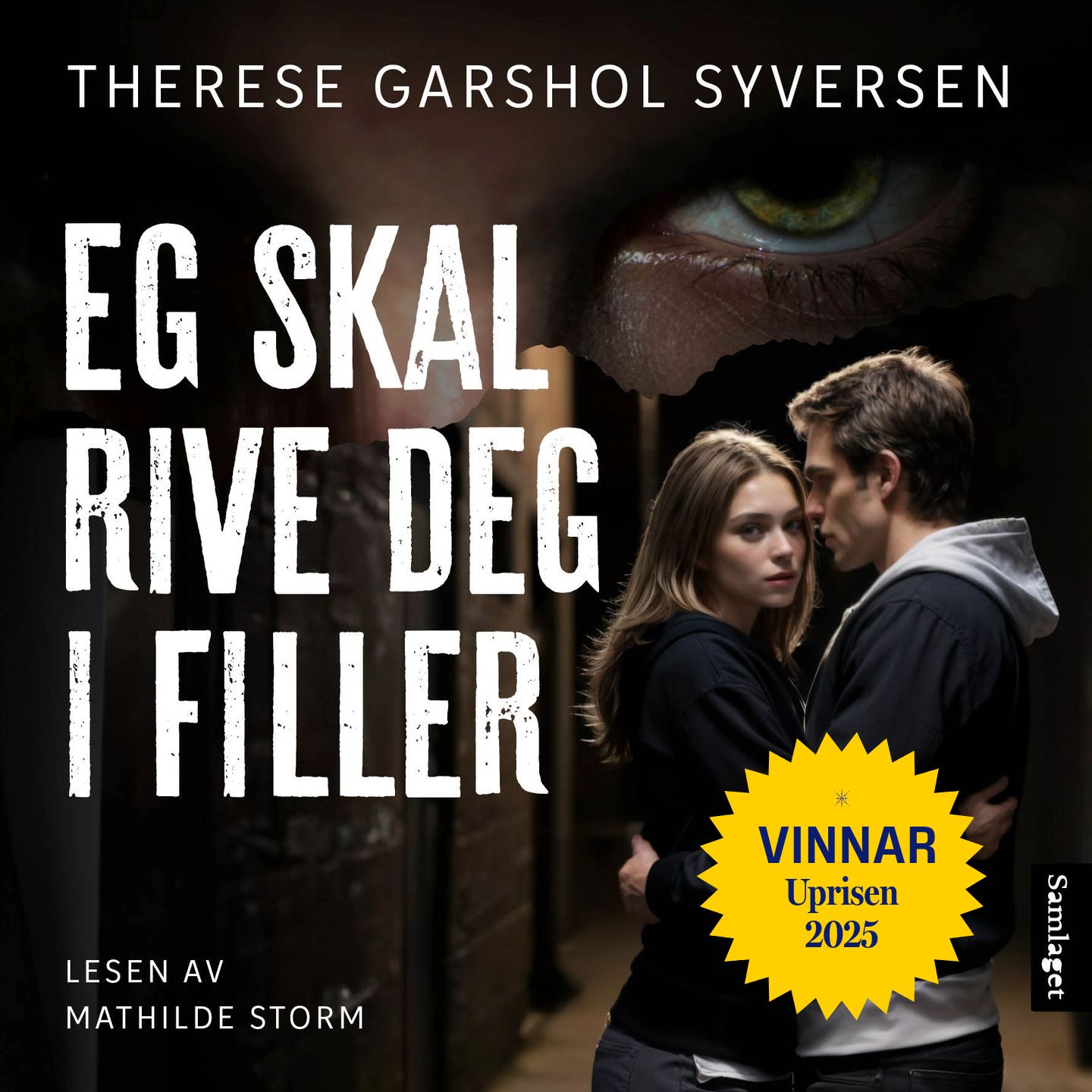 Eg skal rive deg i filler - roman