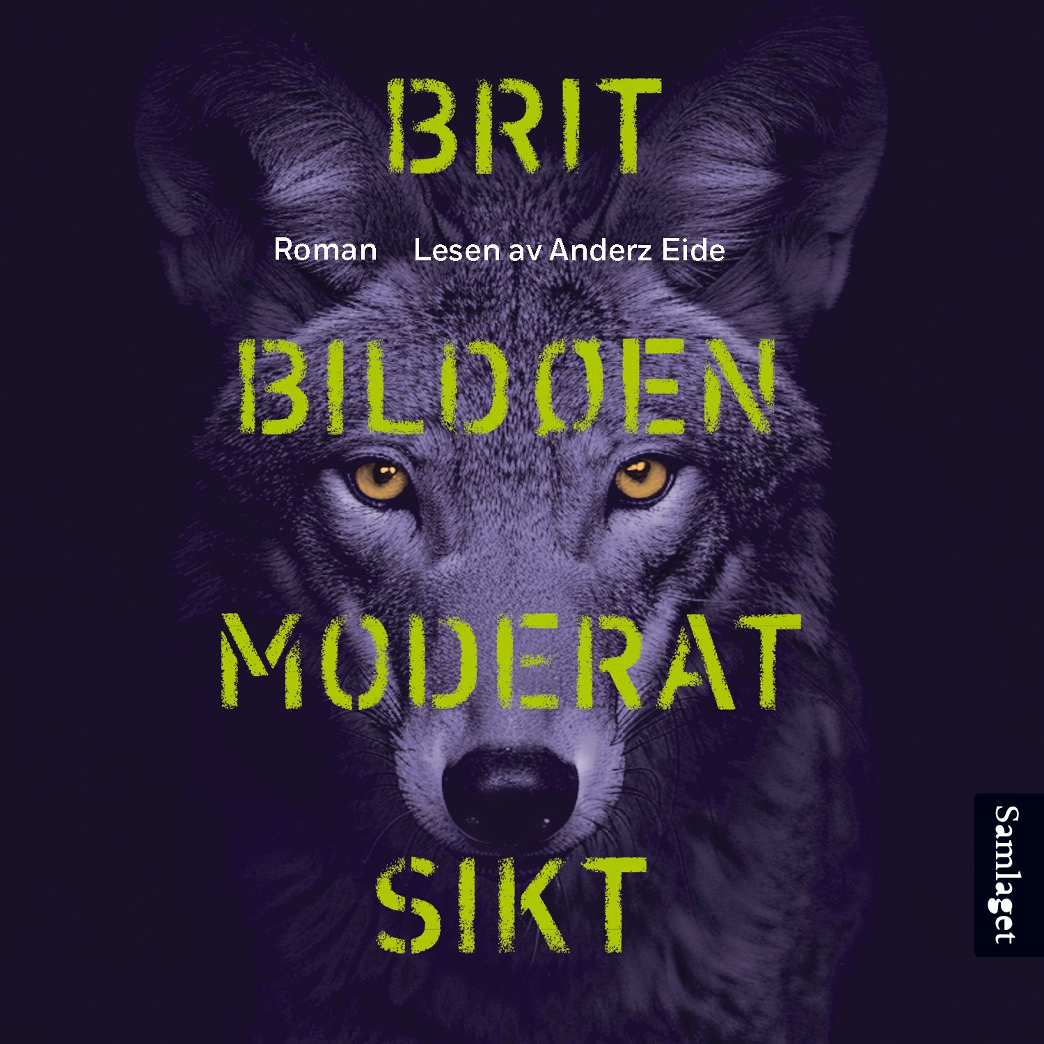 Moderat sikt - roman