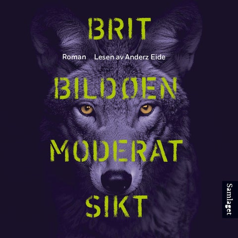Moderat sikt - roman