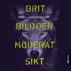 Moderat sikt