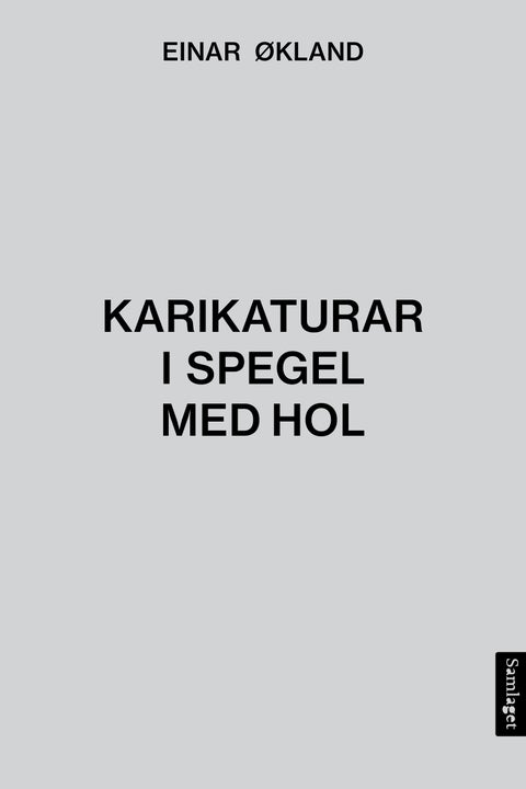 Karikaturar i spegel med hol