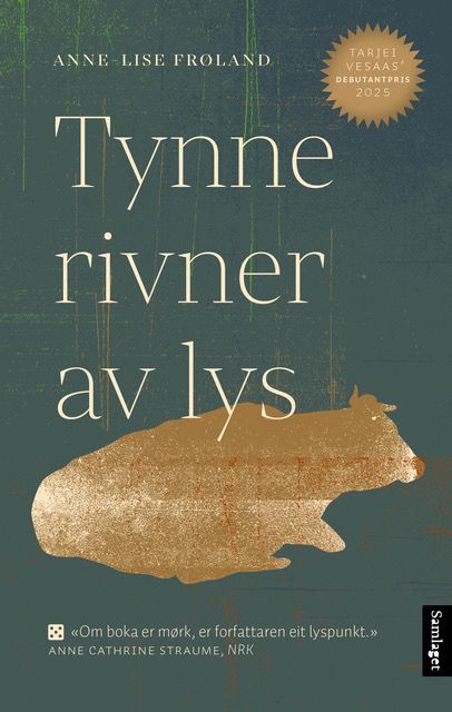 Tynne rivner av lys
