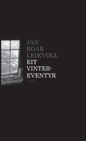 Eit vintereventyr - roman