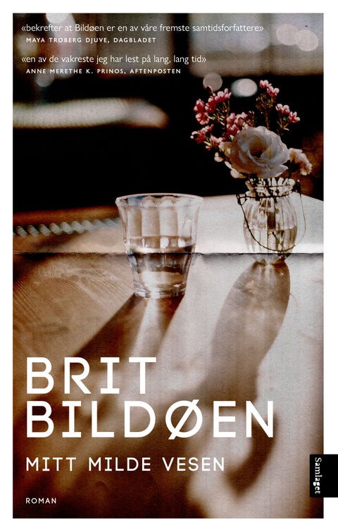 Mitt milde vesen - roman