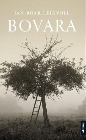 Bovara - roman