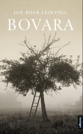 Bovara - roman