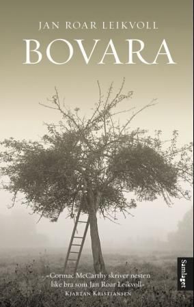 Bovara - roman