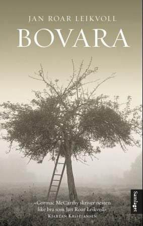 Bovara - roman