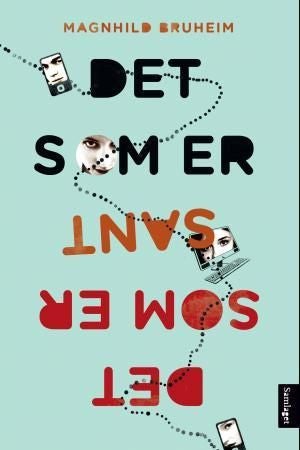 Det som er sant - roman