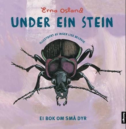 Under ein stein - ei bok om små dyr