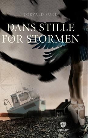 Dans stille før stormen - roman