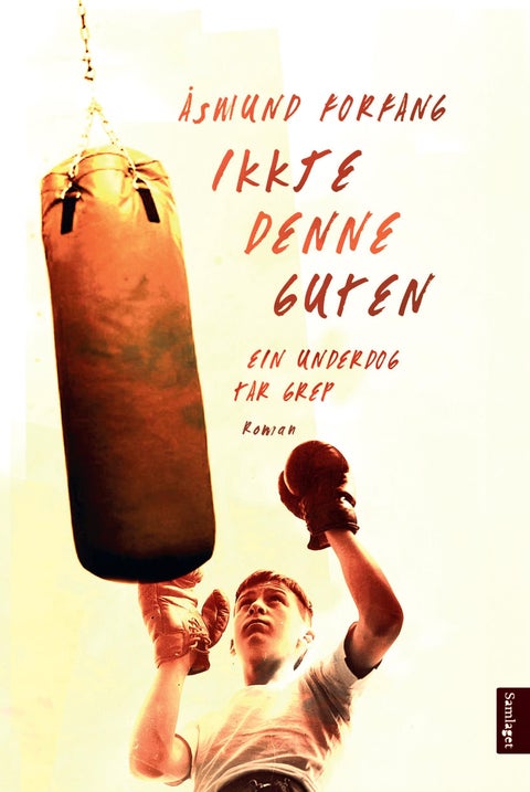 Ikkje denne guten - roman