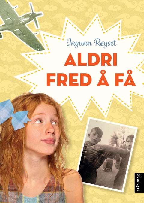 Aldri fred å få - roman