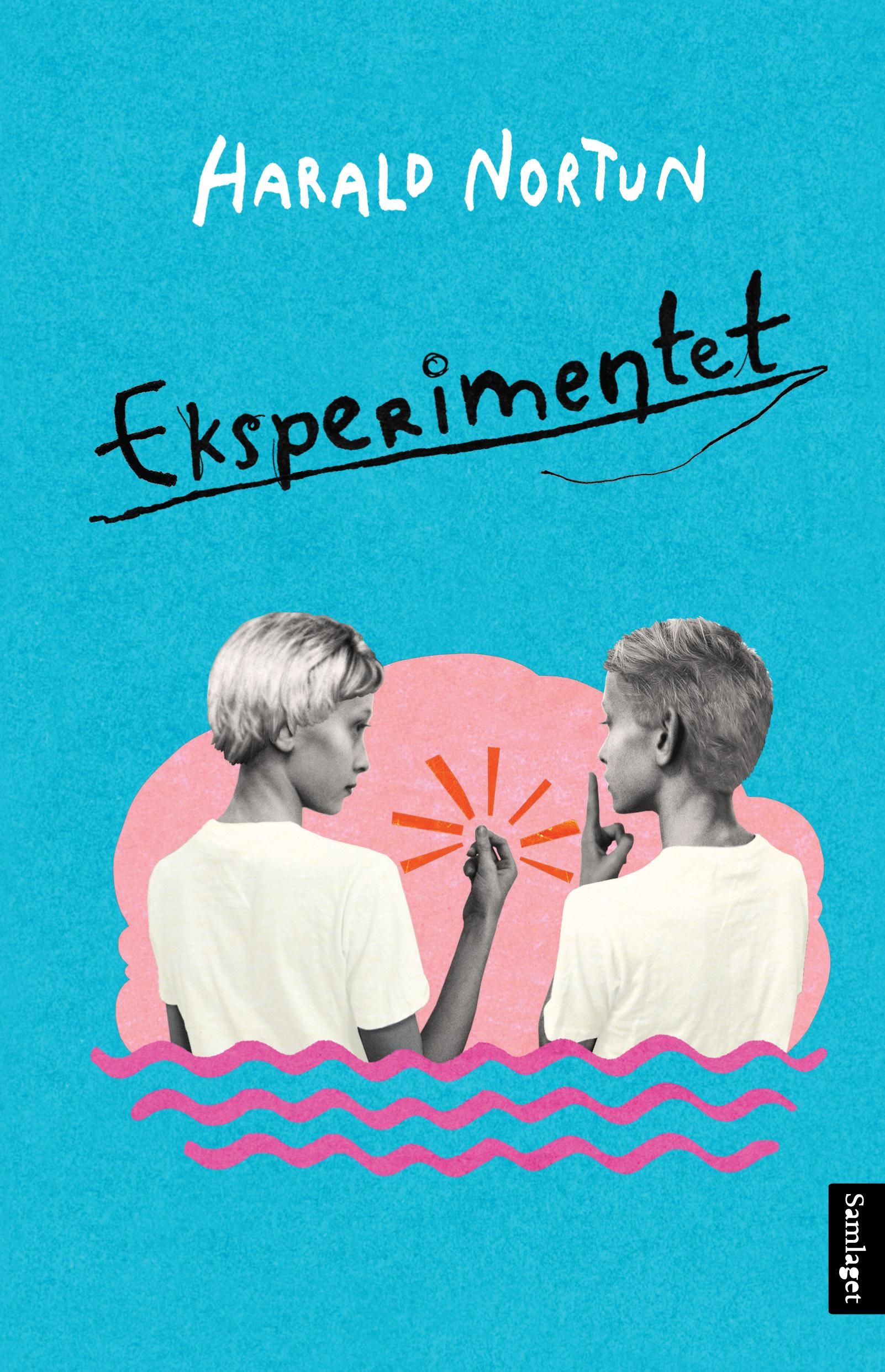 Eksperimentet - roman