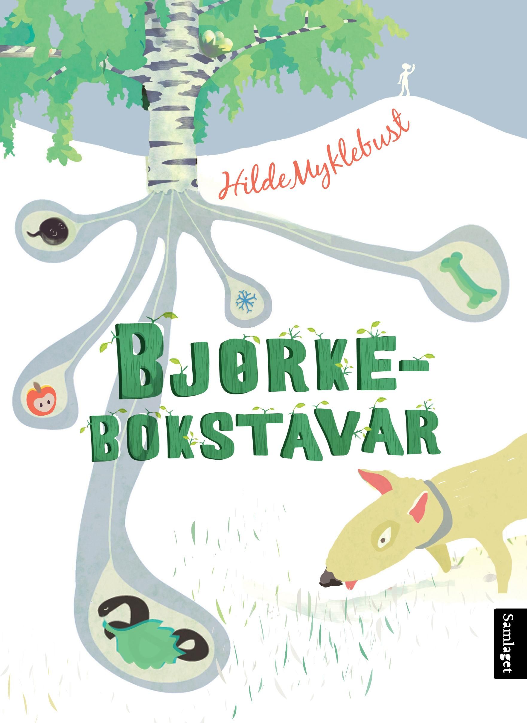 Bjørkebokstavar