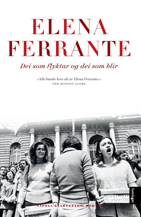 Dei som flyktar og dei som blir - mellomår : roman