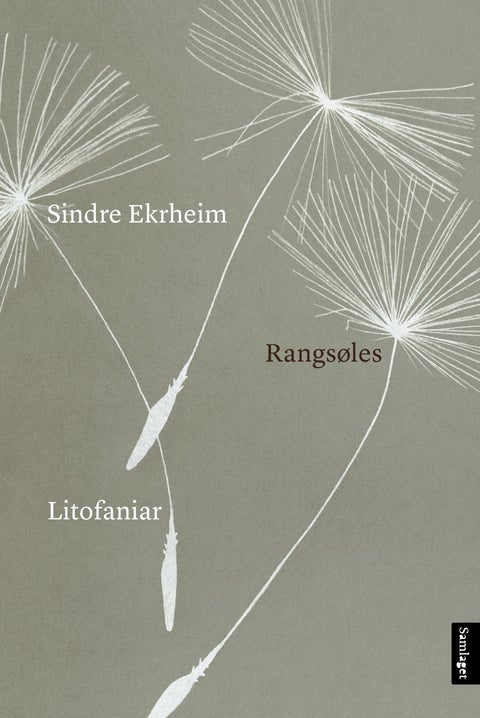 Rangsøles - litofaniar