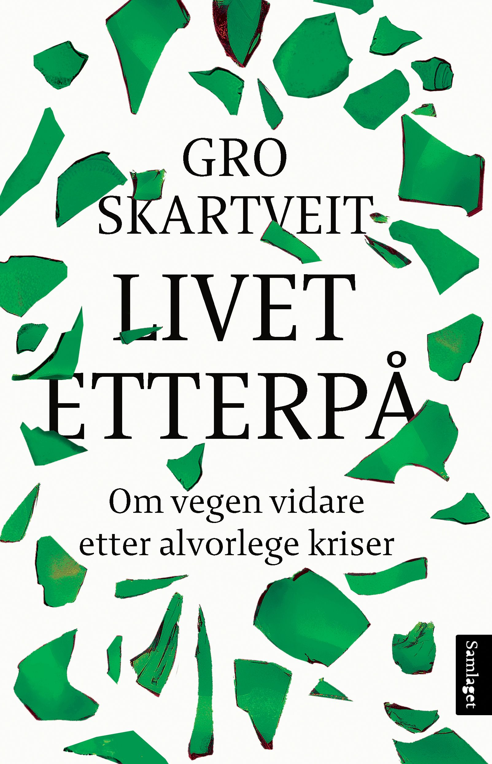 Livet etterpå - om vegen vidare etter alvorlege kriser