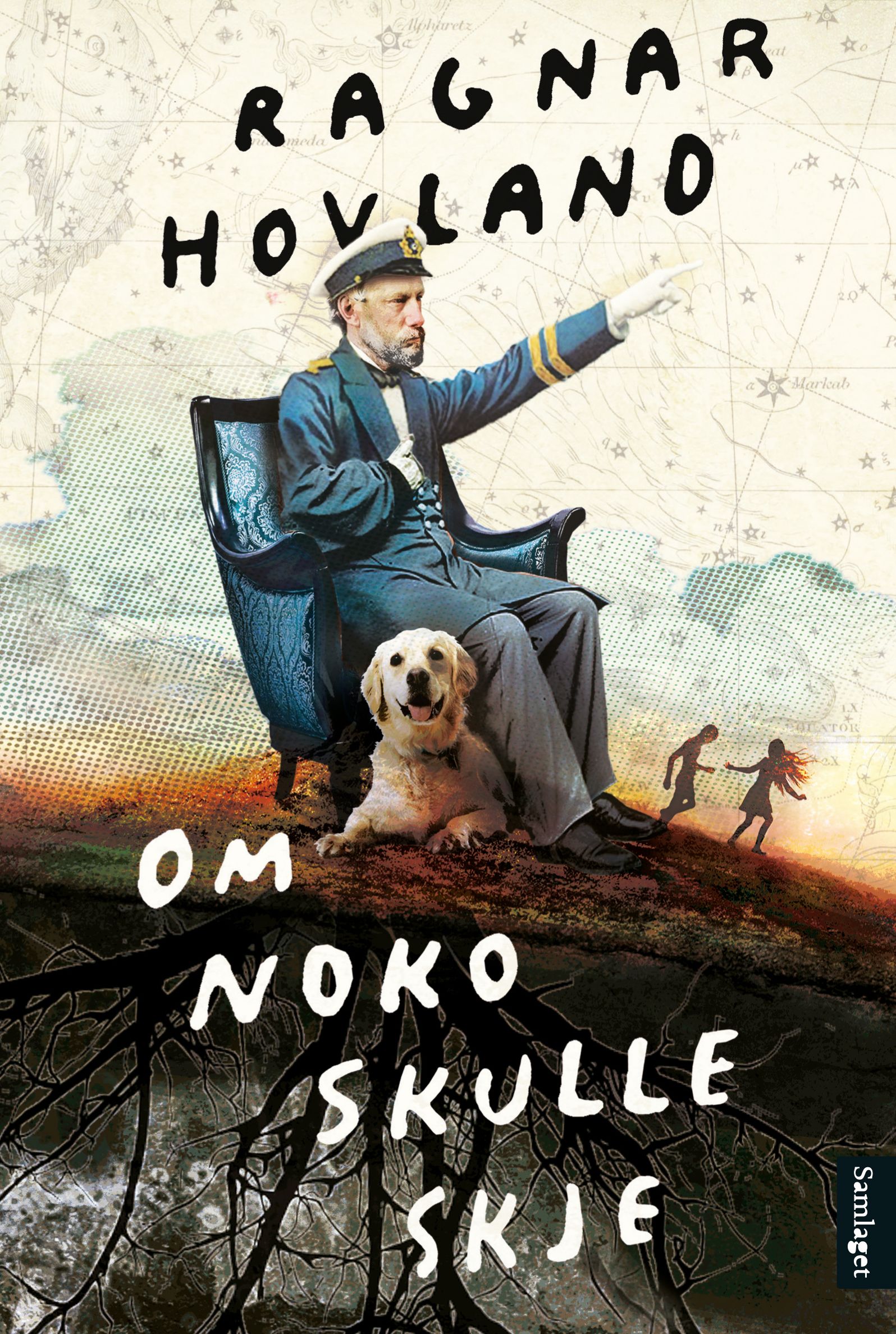 Om noko skulle skje - roman