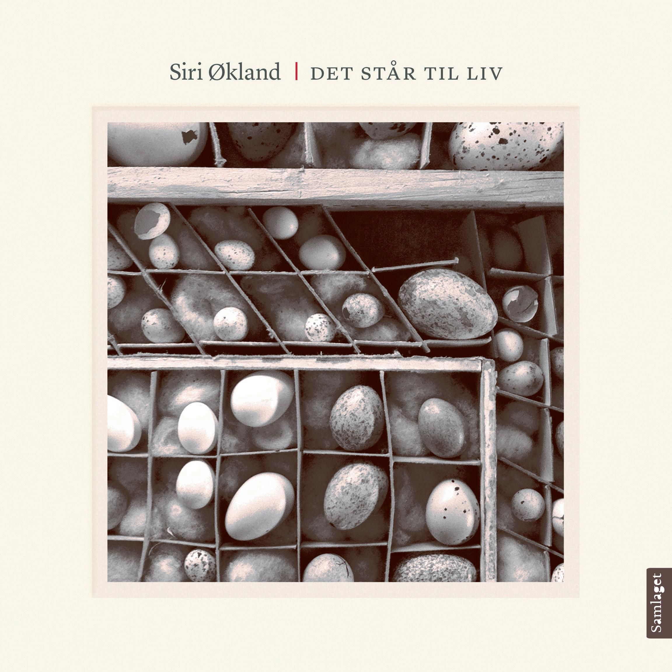 Det står til liv - kortprosa og foto