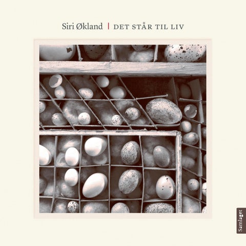 Det står til liv - kortprosa og foto