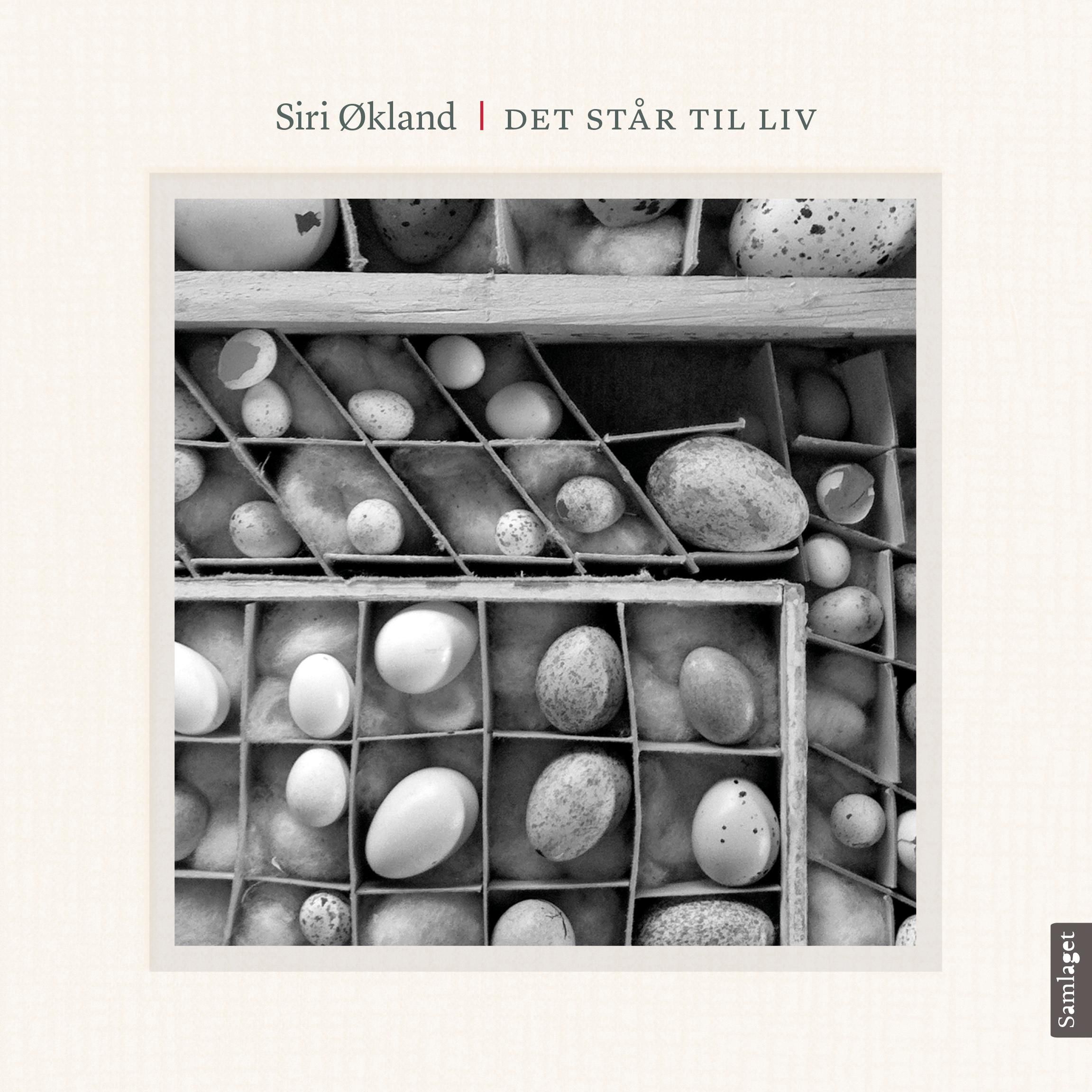 Det står til liv - kortprosa og foto