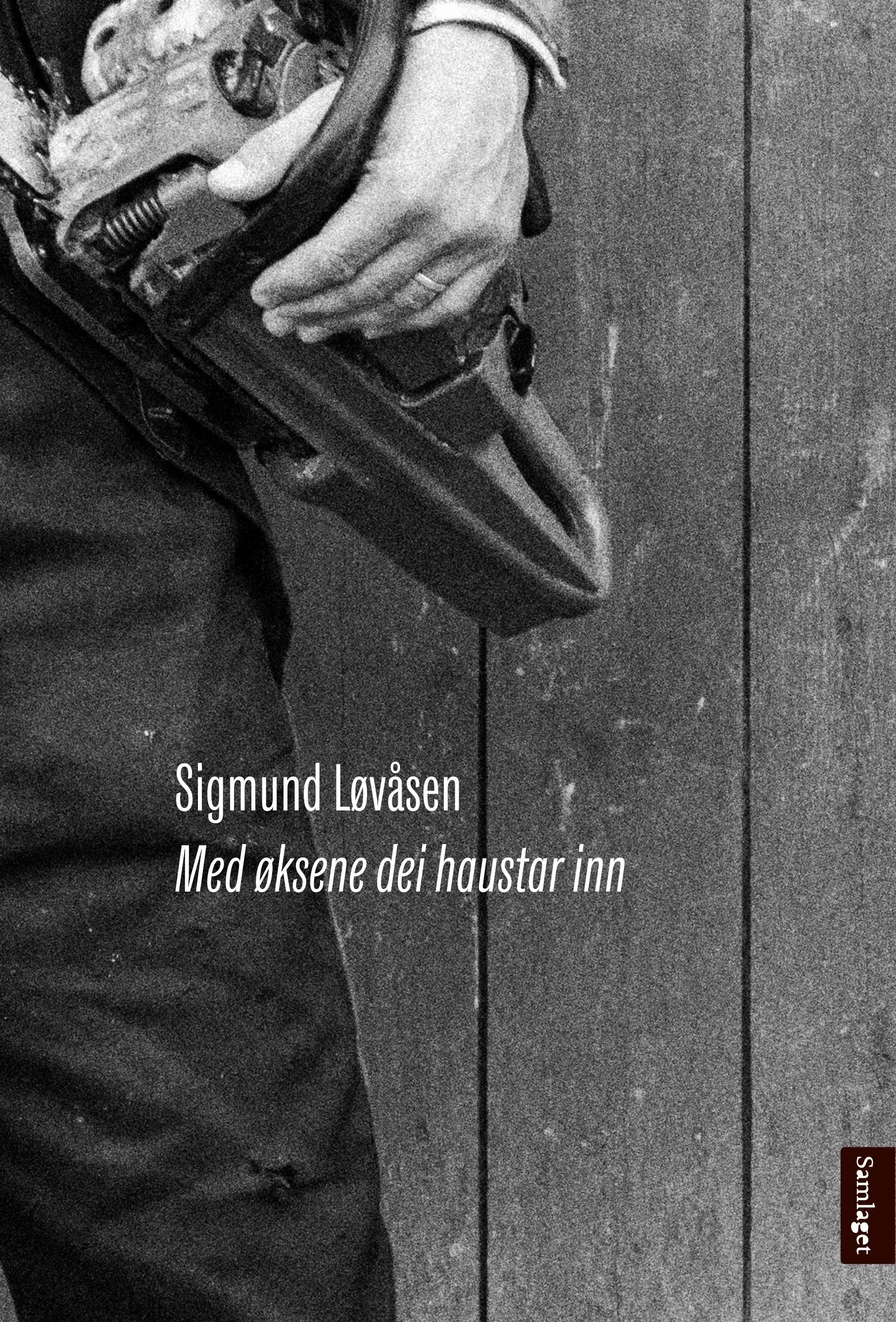 Med øksene dei haustar inn - dikt