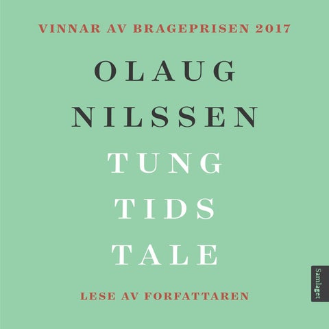 Tung tids tale - roman