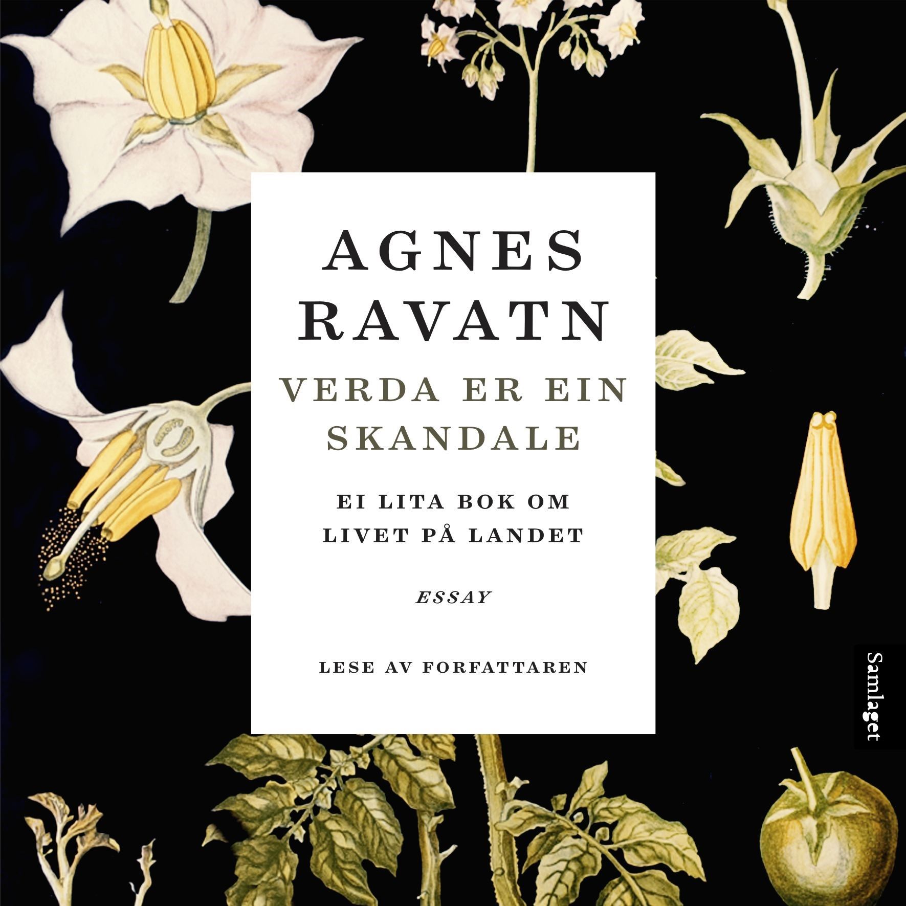 Verda er ein skandale - ei lita bok om livet