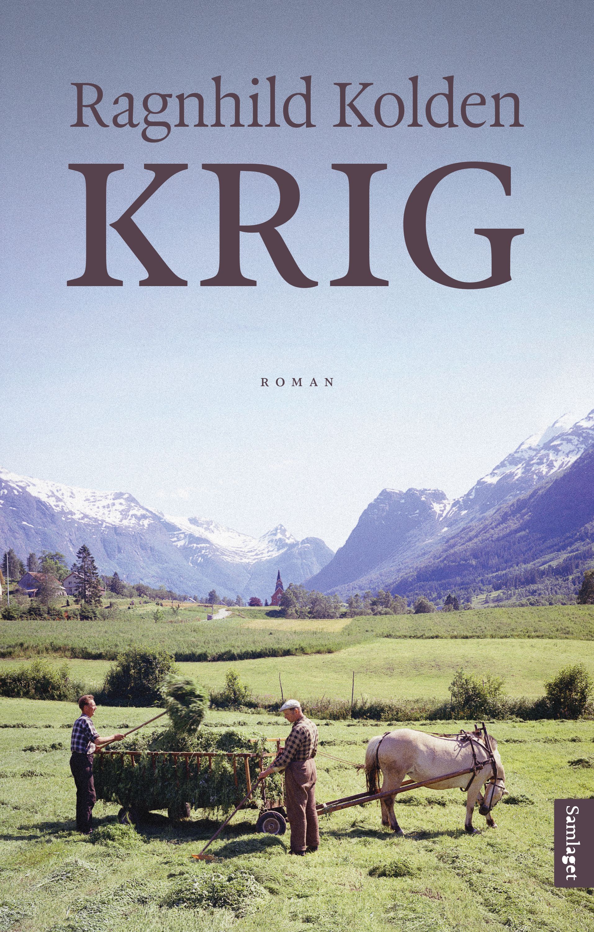 Krig - roman