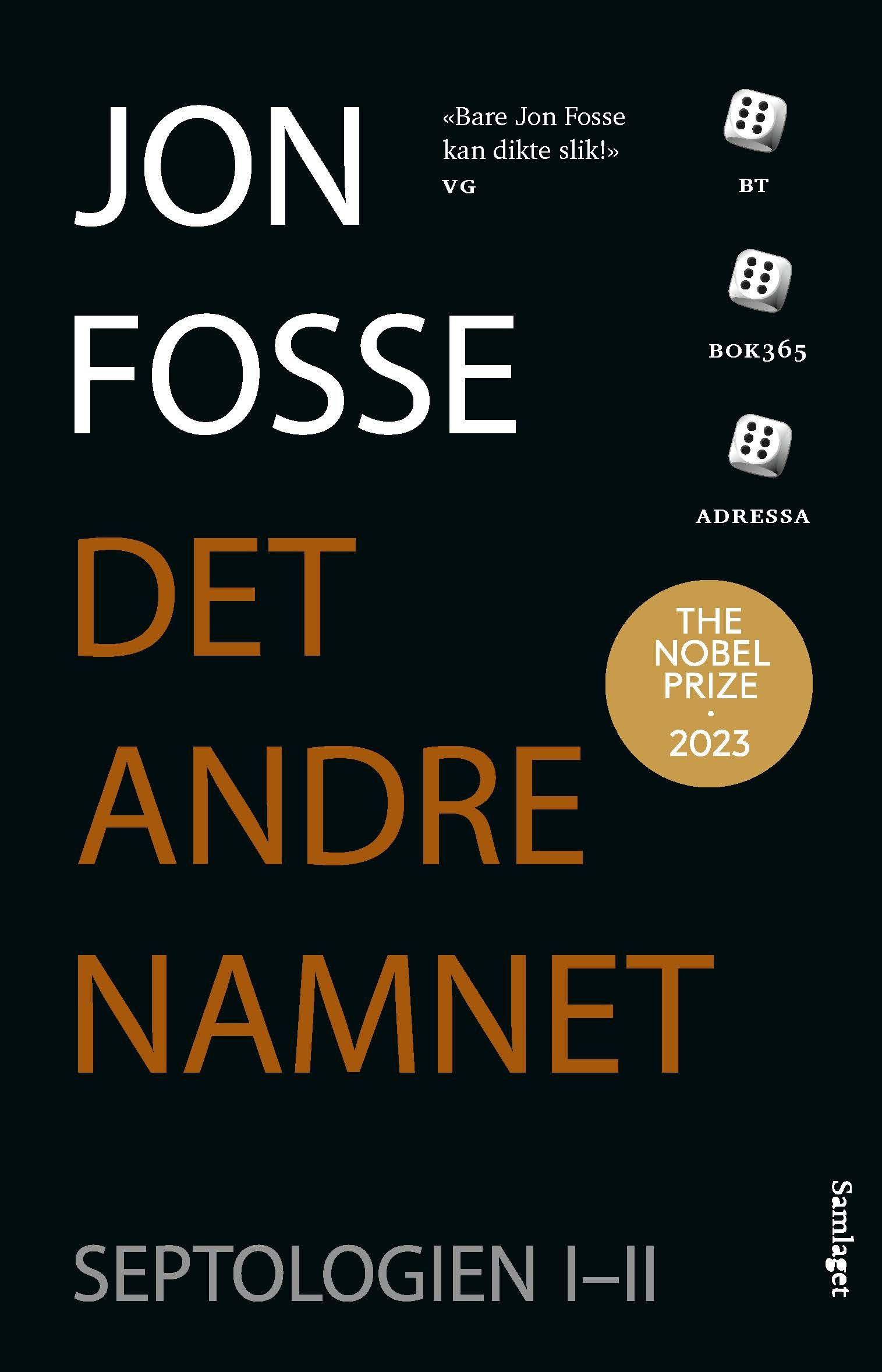 Det andre namnet - roman