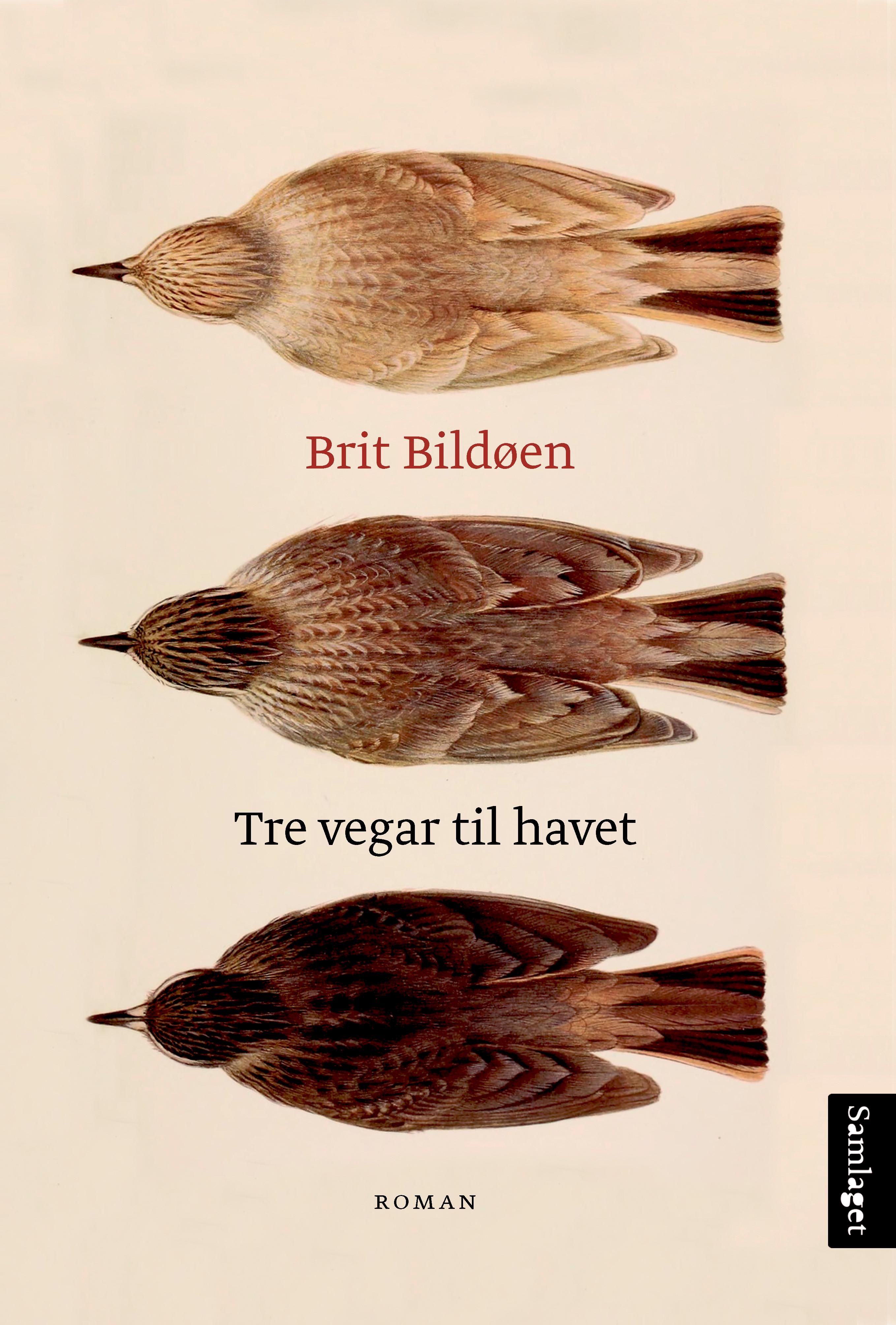 Tre vegar til havet - roman