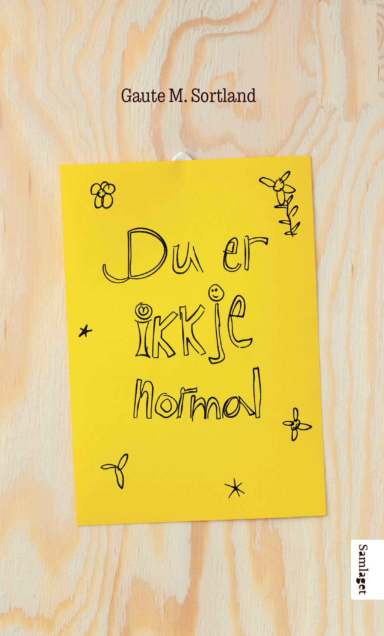 Du er ikkje normal - noveller