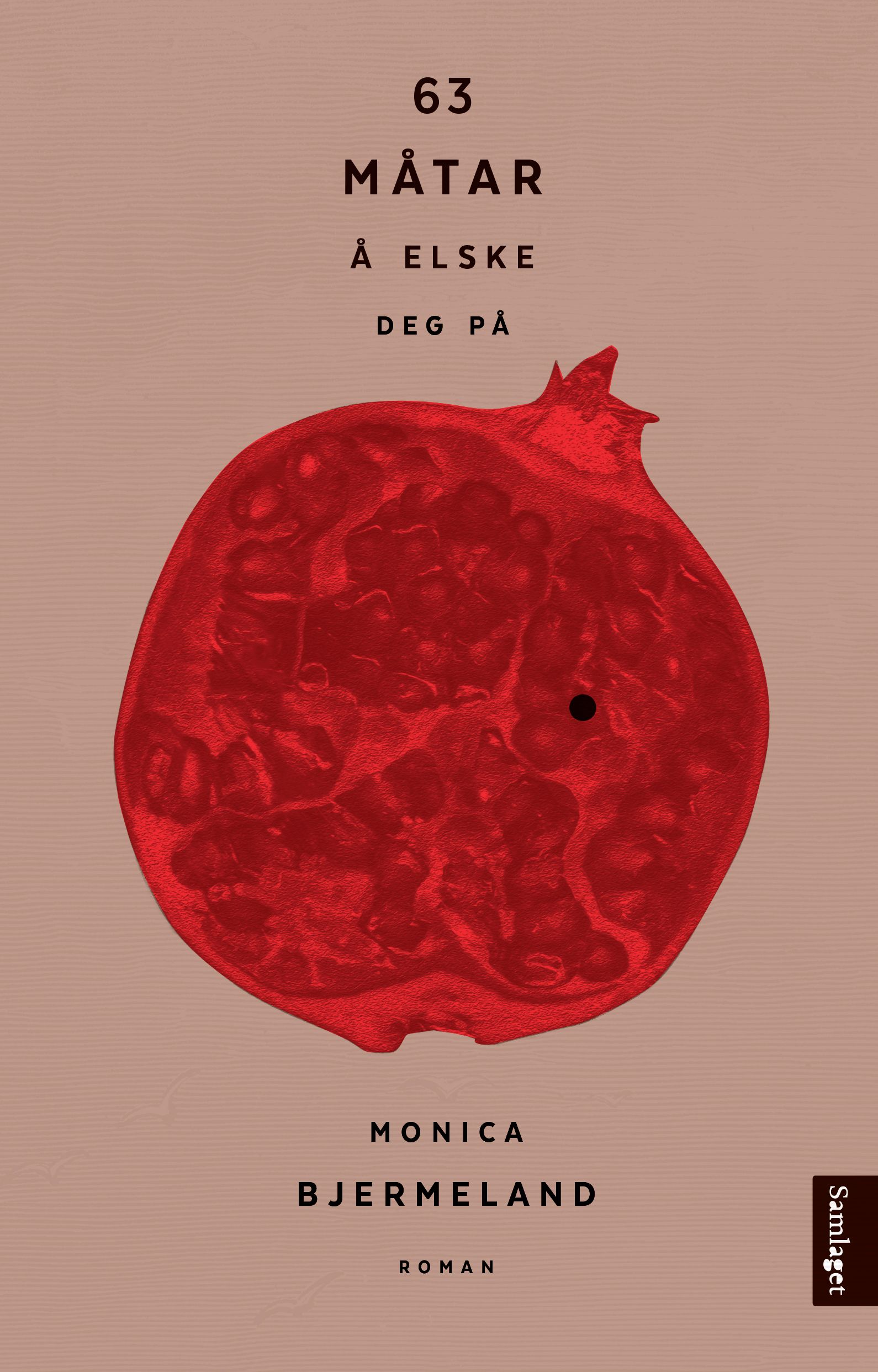 63 måtar å elske deg på - roman