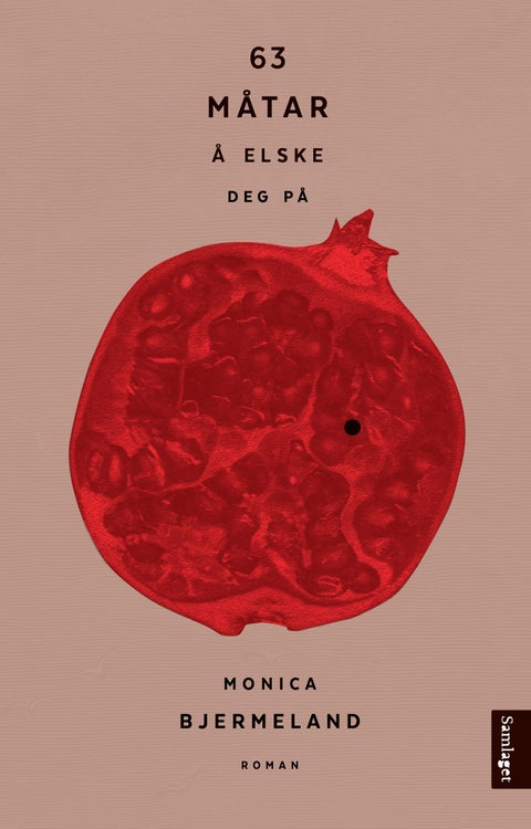 63 måtar å elske deg på - roman