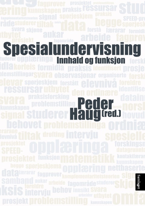 Spesialundervisning - innhald og funksjon