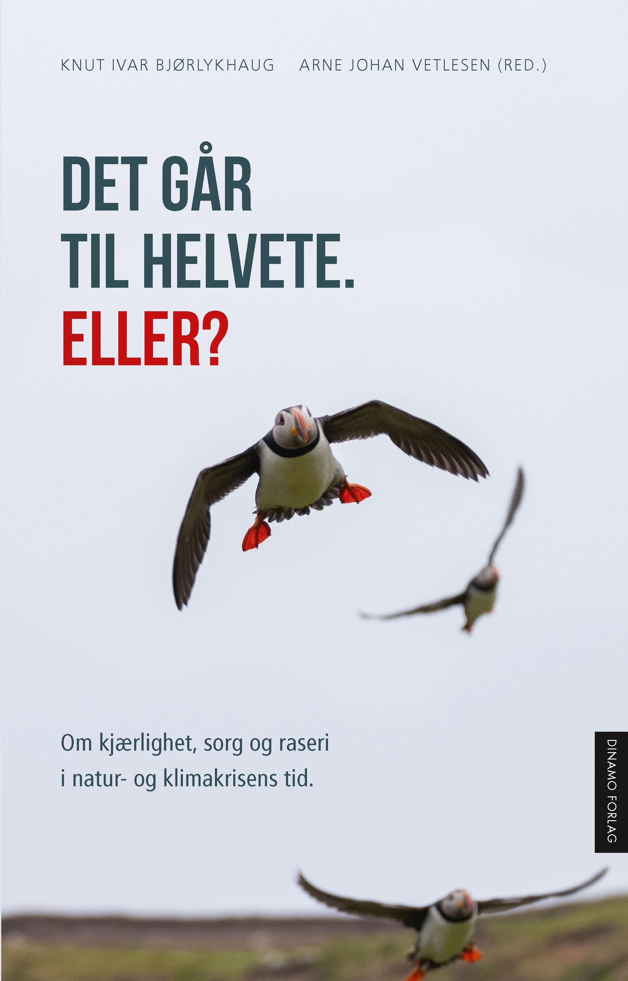 Det går til helvete. Eller? - kjærlighet, sorg og raseri i natur- og klimakrisens tid