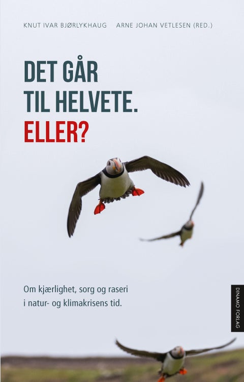 Det går til helvete. Eller? - kjærlighet, sorg og raseri i natur- og klimakrisens tid
