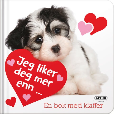 Jeg liker deg mer enn- - en bok med klaffer