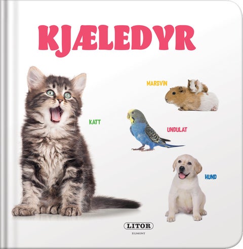 Kjæledyr
