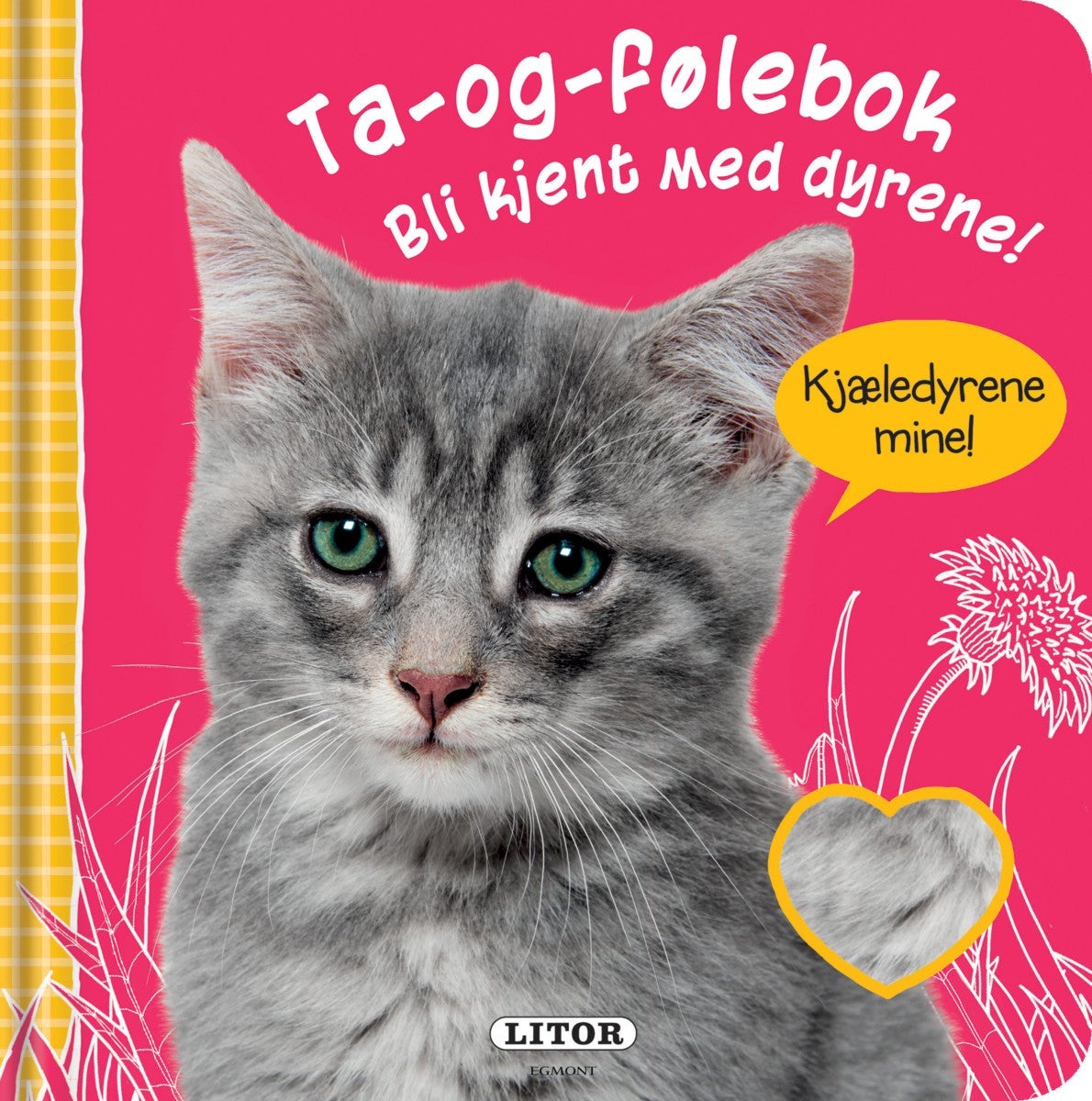 Bli kjent med dyrene!