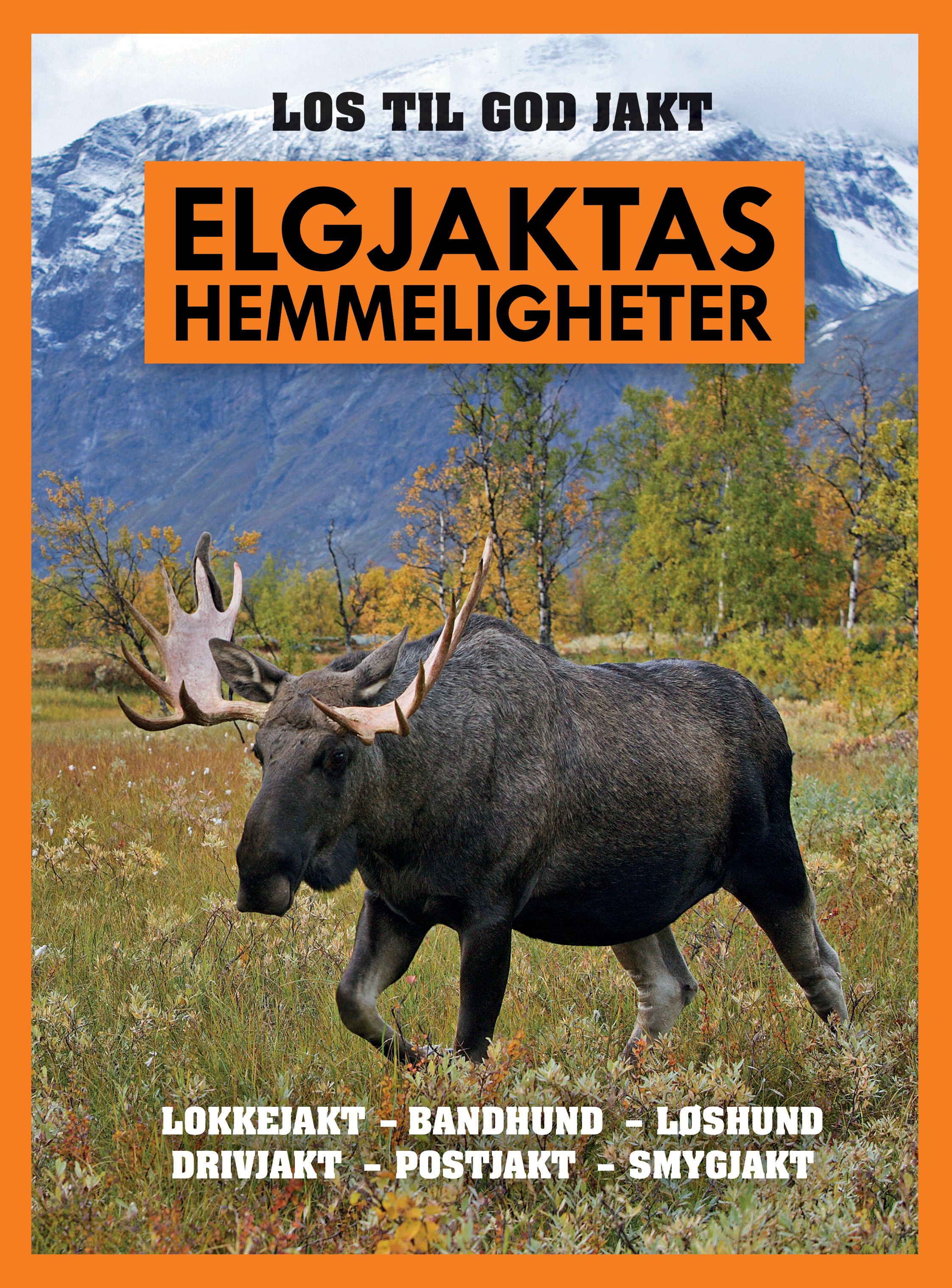 Elgjaktas hemmeligheter - los til god jakt