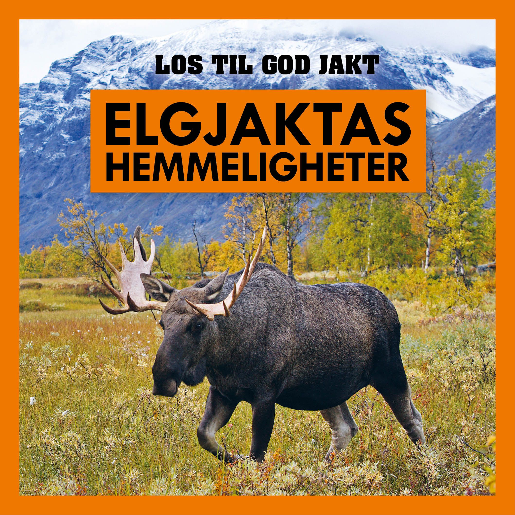 Elgjaktas hemmeligheter - los til god jakt
