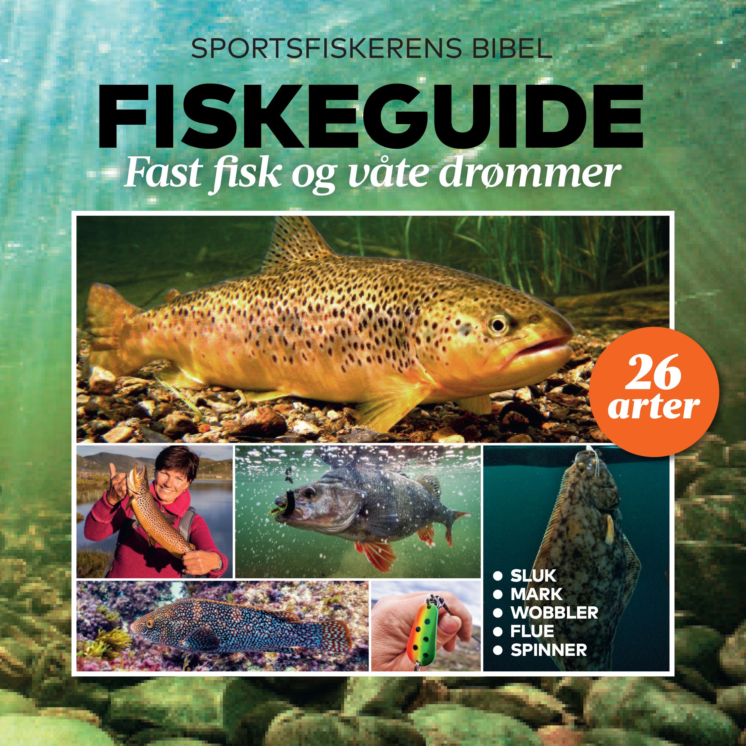 Fiskeguide - fast fisk og våte drømmer